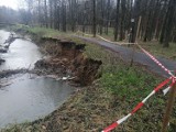 Kraków. Urwało brzegi rzeki Białuchy. Zagrożona ścieżka rowerowa w parku na Dąbiu [ZDJĘCIA]