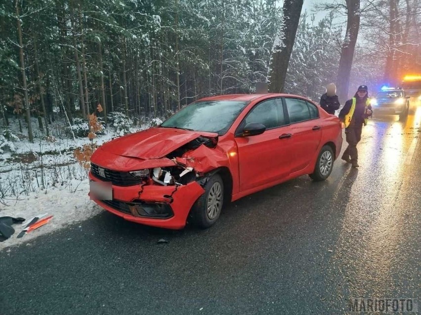 Śliskie jezdnie i chodniki. Dziesiątki kolizji na opolskich...