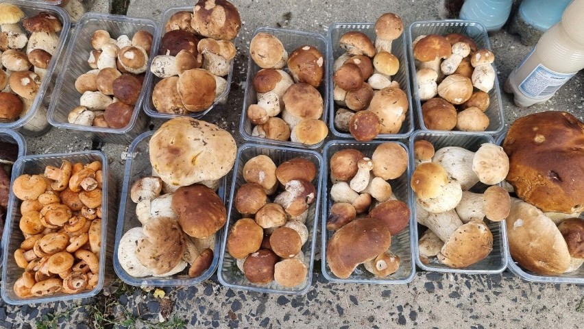 Na kieleckich bazarach we wtorek oferowano mnóstwo grzybów....