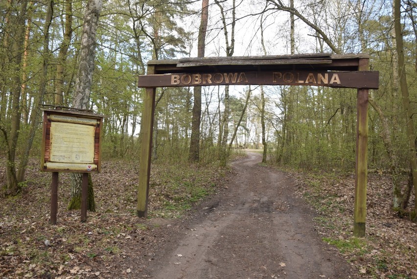 Bobrowa Polana znowu zniszczona. Wandale rozwalają i śmiecą 