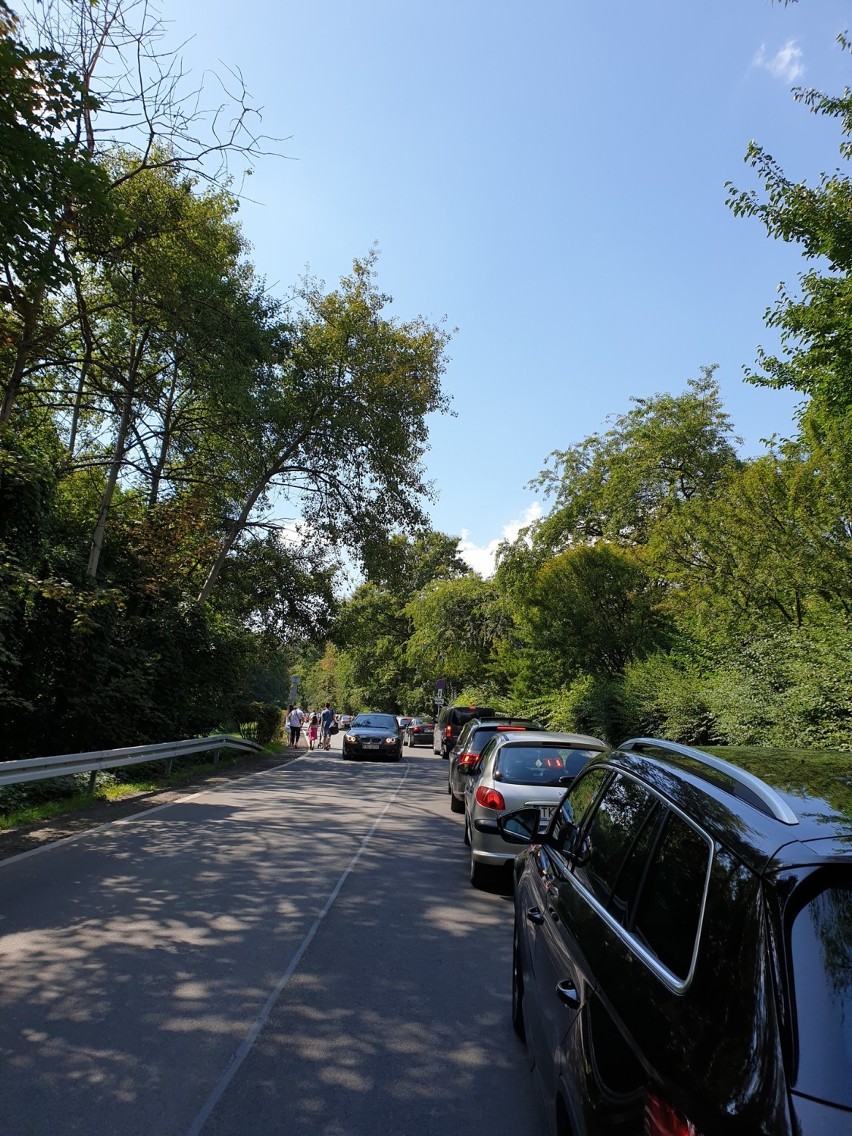 Korki na drodze dojazdowej do zoo