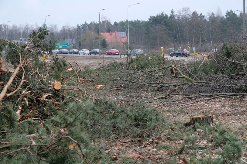 Pod przebudowę DK1 trzeba było wyciąć ponad 5 tysięcy drzew,...