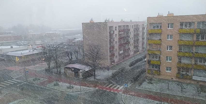 Zimno, brzydko i ponuro. Chociaż w Żarach sypnęło śniegiem,...