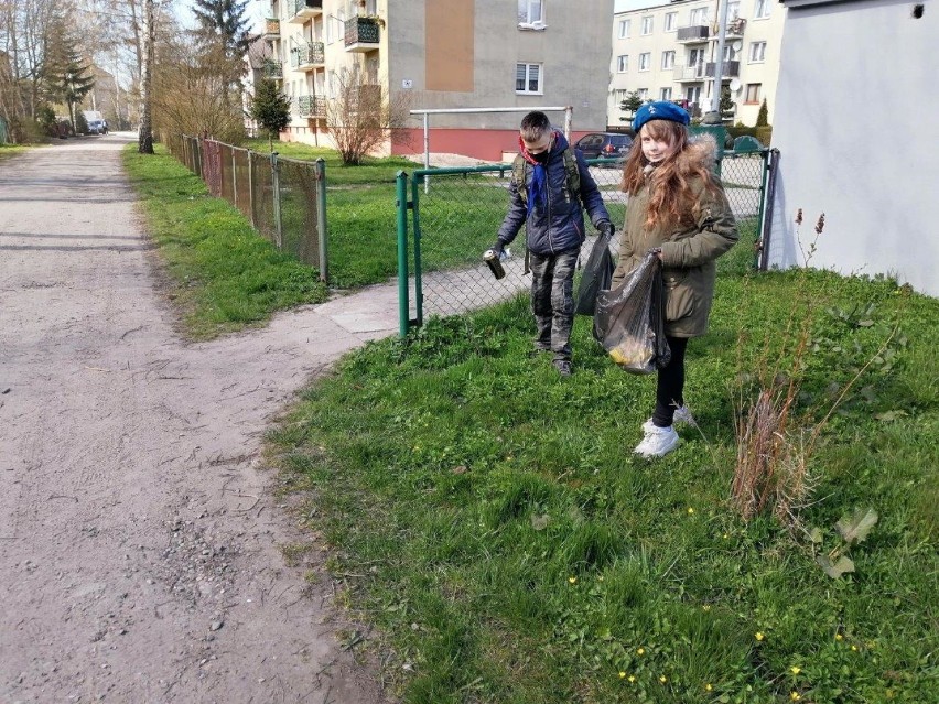 Harcerze i zuchy Hufca ZHP Sławno działają na rzecz ochrony przyrody i zdrowia