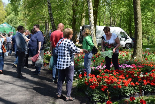 W Opatówku trwają XXI Wiosenne Targi Ogrodniczo - Rolnicze i Działkowe