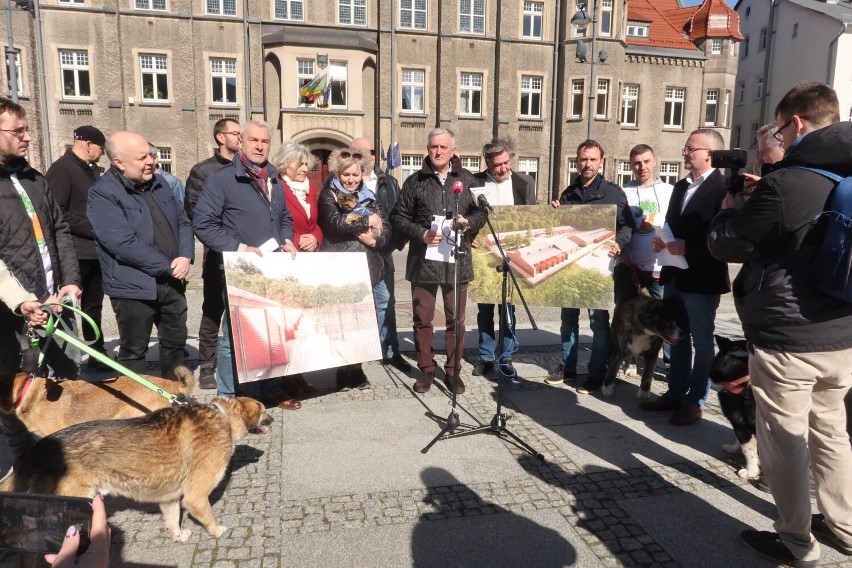 Nowe schronisko dla zwierząt bezdomnych w Wałbrzychu będzie na miarę XXI wieku. Wykonawca poszukiwany!