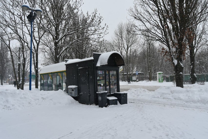 Odśnieżanie miasta