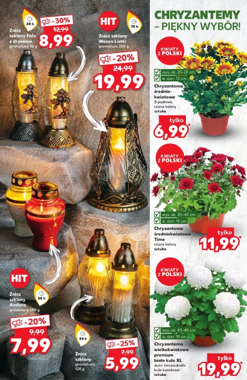 Tanie znicze na Wszystkich Świętych 2022 - cena od kilku do kilkudziesięciu złotych. Oferty z Biedronki, Lidla, Kauflandu, Dino, Netto...