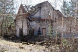Opuszczone domy, ciemne podziemia, ruiny. Na granicy Lubuskiego jest Pstrąże - największe miasto widmo w Polsce | ZDJĘCIA