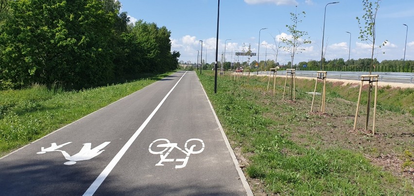 Śródmiejska droga rowerowa powstała przy okazji budowy nowej obwodnicy Rybnika