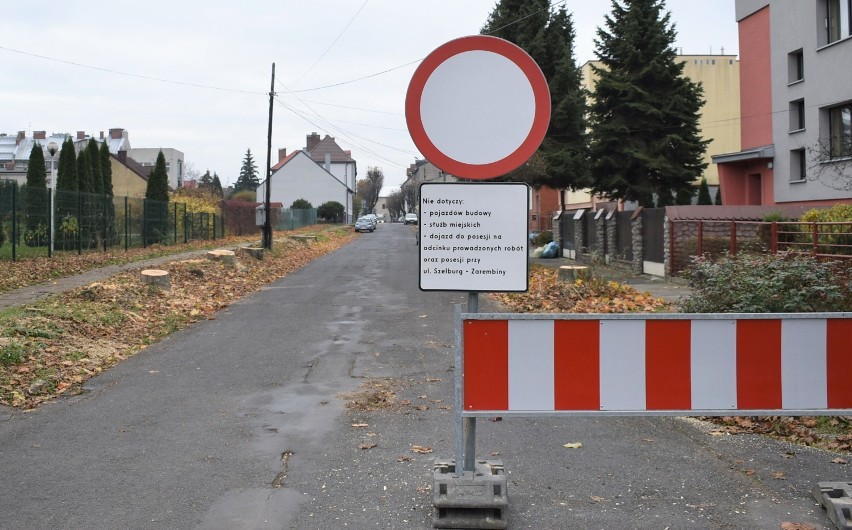 Wycinka drzew w Oświęcimiu. Na ulicy Piłsudskiego wycięto blisko 30 sztuk dorodnych drzew w związku z zaplanowanym remontem drogi [ZDJĘCIA]