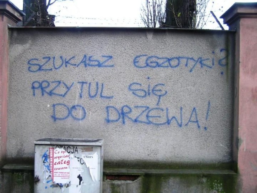 Jeżyce - dzielnica Poznania. Napis na murze przy zajezdni...