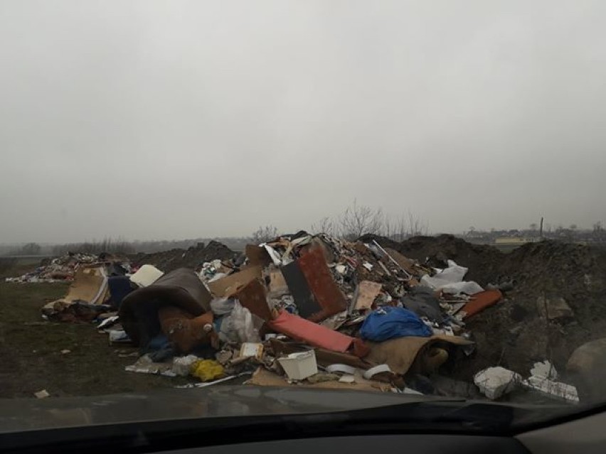 "Dzikie wysypisko" śmieci na Dalkach w Gnieźnie! Odpadów...