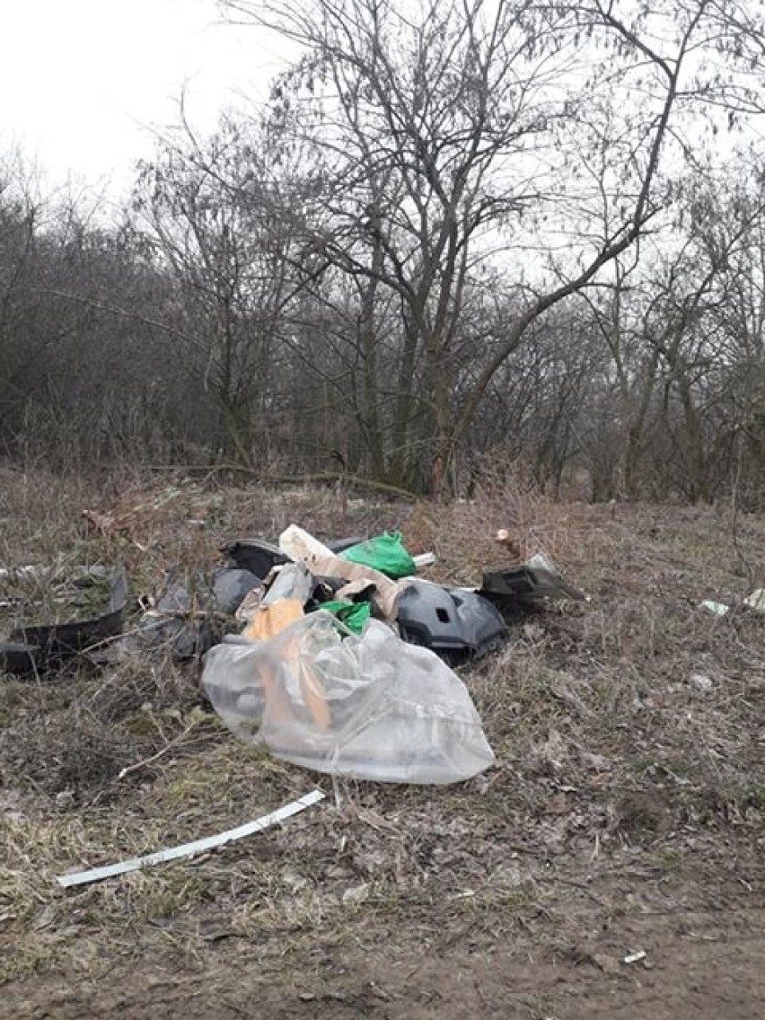 "Dzikie wysypisko" śmieci na Dalkach w Gnieźnie! Odpadów...