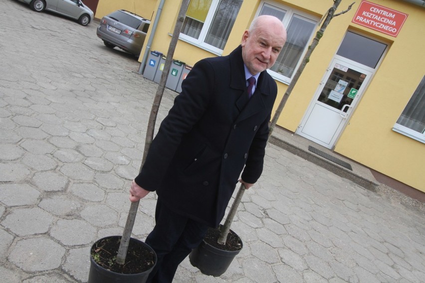 Akcja Drzewo dla Polski w Złotowie
