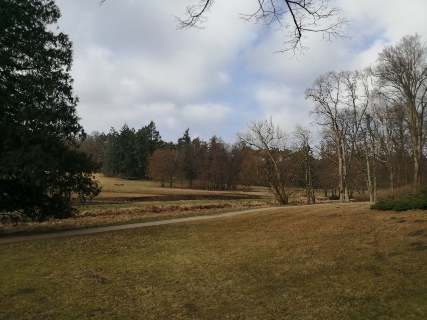 W parku w Gołuchowie pojawiły się pierwsze oznaki wiosny