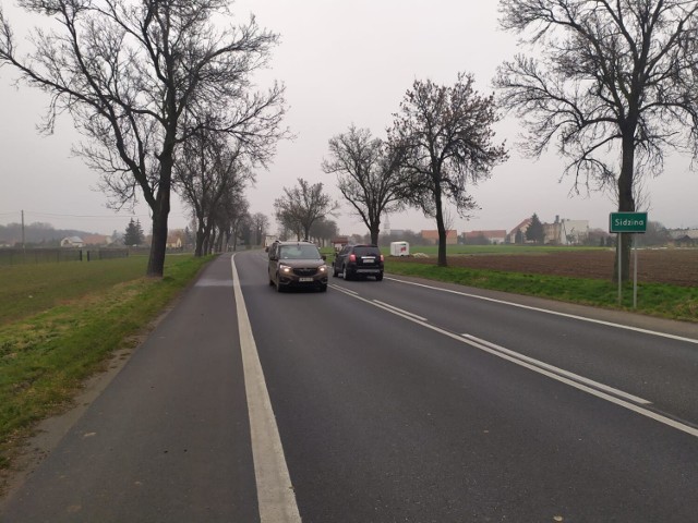 Proponowana przez GDDKiA wersja trasy  ma długość 8.5 km, a przebiega przez teren gminy Skoroszyce i Łambinowice w powiecie nyskim oraz przez gminę Niemodlin w powiecie opolskim.
Wariant drugi przebiega w całości po północnej stronie istniejącej drogi nr 46.