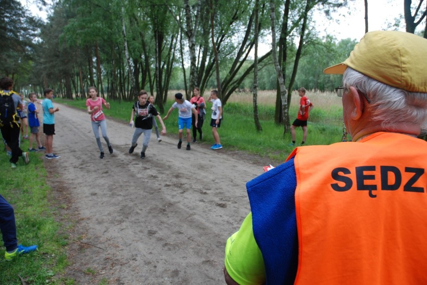 IV Ostrowski Tydzień Trzeźwości "Alternatywy"