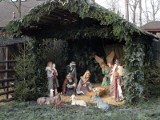 KRÓTKO: Żywa szopka bożonarodzeniowa została otwarta w Pokazowej Zagrodzie Żubrów w Pszczynie