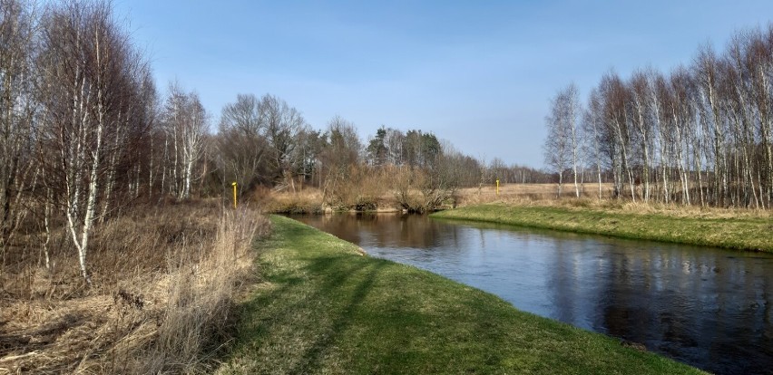 Gmina Sławno - skutki bytności bobrów