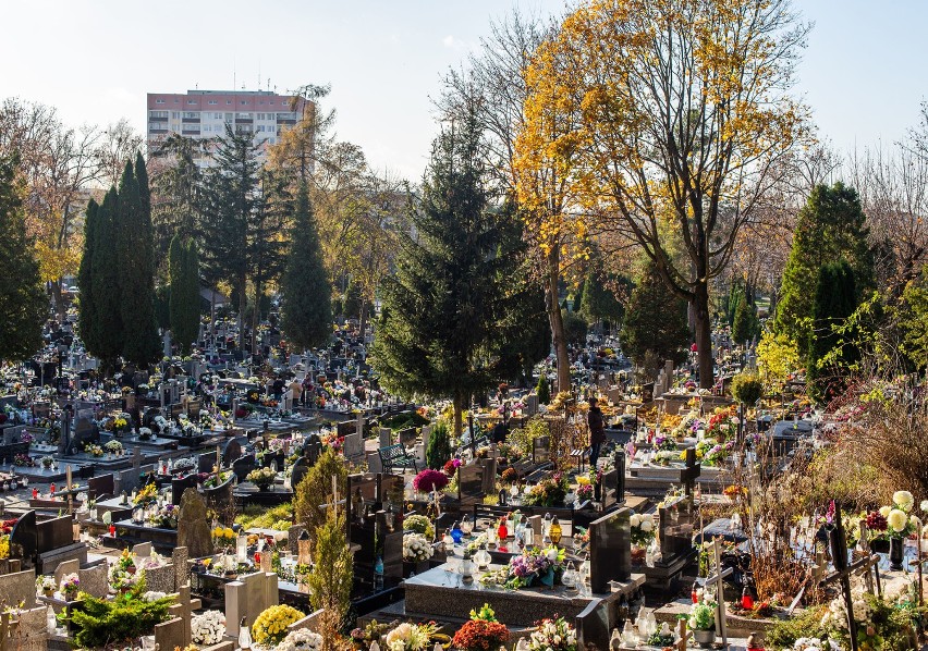 Cmentarze znowu otwarte. Spacer po nekropolii przy ul. Piaskowej w Puławach. Zobacz zdjęcia