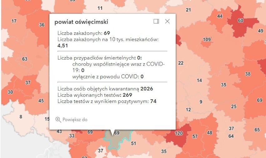 Koronawirus, raport 30 listopada 2021. W Polsce ponad 19 tys. zakażeń SARS CoV-2. Rosną też liczby w zachodniej Małopolsce