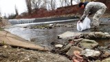 Sprzątanie rzeki Białej, każdy może przyjść pomóc