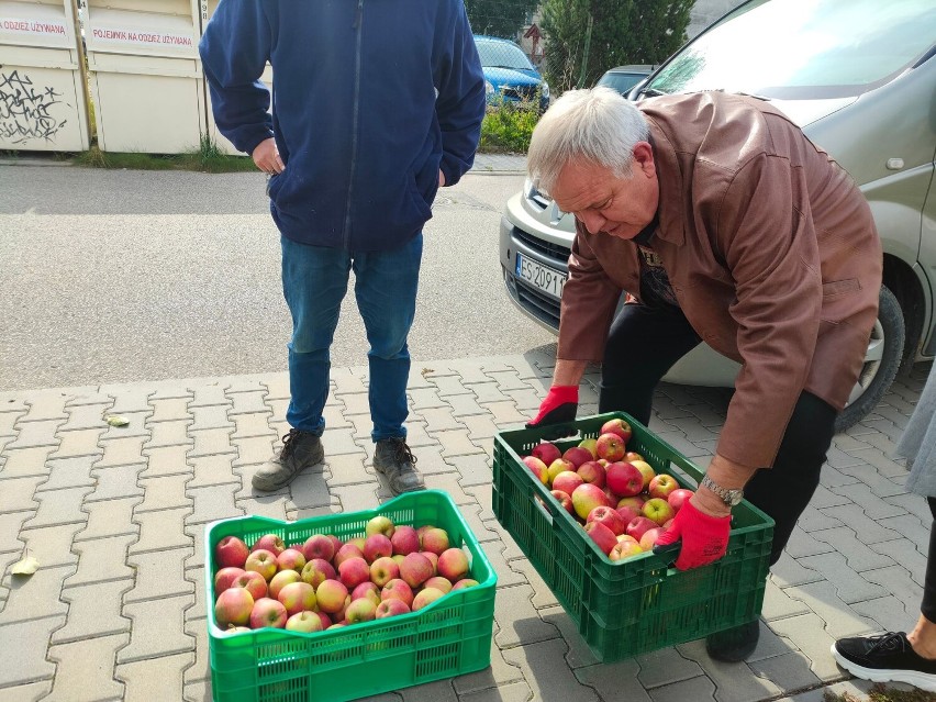 Jutro w miejskiej bibliotece w Skierniewicach będą na czytelników będą czekały… drzewka