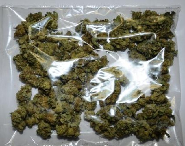 20 latka z 43 gramami marihuany w Złotowie