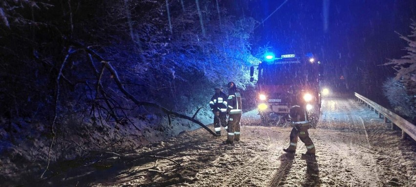 Strażacy z OSP pracowali cała noc przy usuwaniu powalonych...