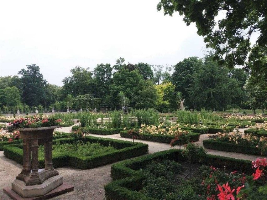 Sekretny, tajemniczy ogród w Wilanowie, czyli neorenesansowy ogród różany z XIX wieku