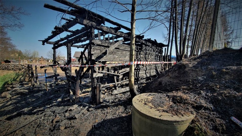 Pożar zagrody Akuku w Mikołowie, spłonęły zwierzęta. Policja prosi o pomoc