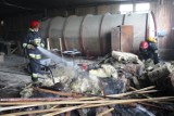 Pożar hali produkcyjno – magazynowej w miejscowości Krzewno [ZDJĘCIA]