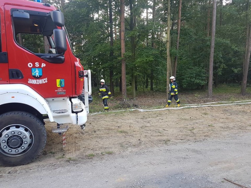 Strażacy z Żor, Rybnika i Raciborza przyjechali do Stodół na ćwiczenia - gasili pożar lasu ZDJĘCIA