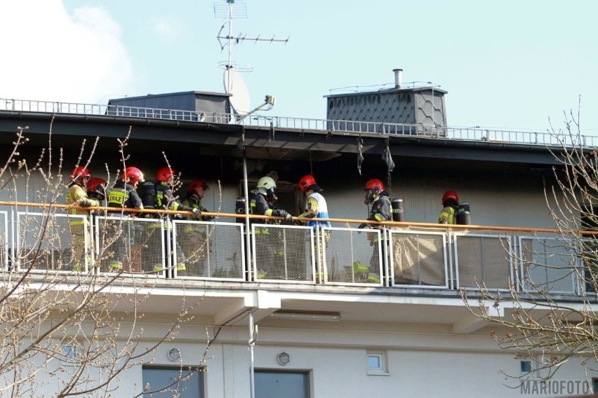 Pożar w budynku socjalnym w Opolu. Akcja strażaków przy ulicy Walecki. Dwie osoby poszkodowane