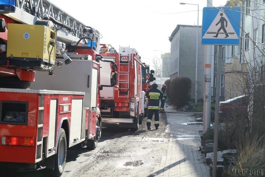 Pożar w budynku socjalnym w Opolu. Akcja strażaków przy ulicy Walecki. Dwie osoby poszkodowane