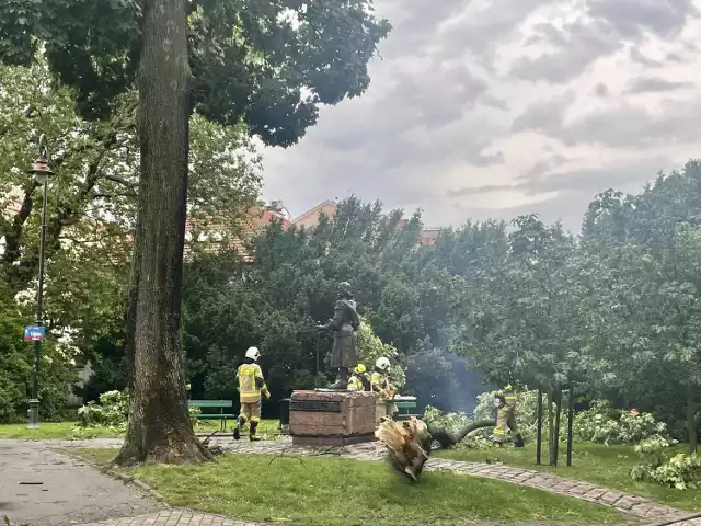 Strażacy usuwają złamany ogromny konar, który runął nieopodal pomnika Jana Pakosławica w Rzeszowie