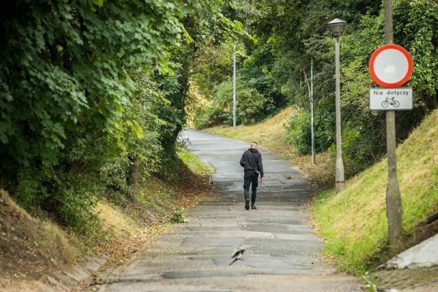 Którędy na górny taras w cieniu i zieleni? Tylko Jarem Czynu...