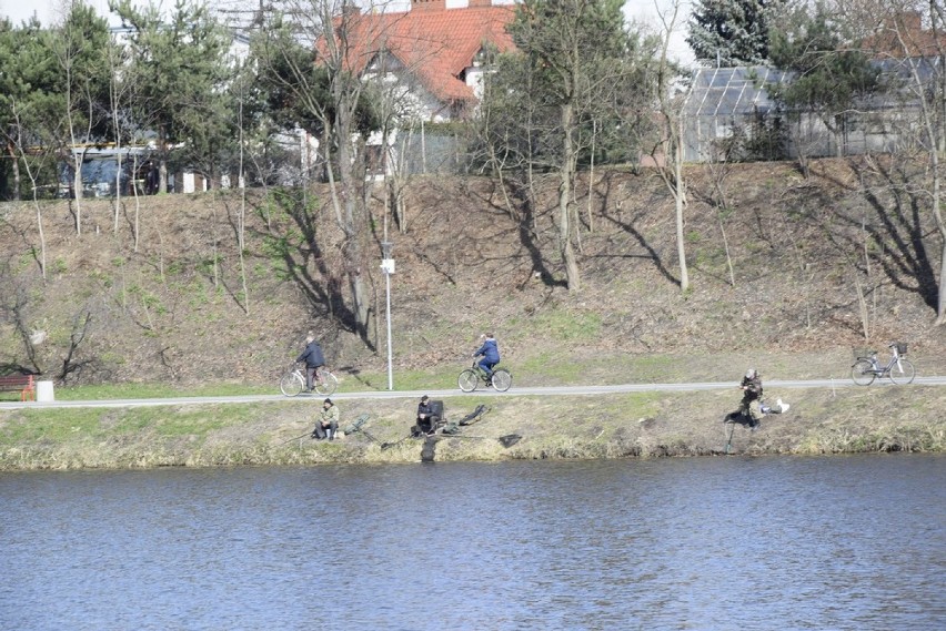 Wiosenna, słoneczna i ciepła niedziela zachęca mieszkańców...