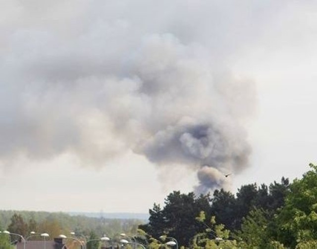 Pożar na wysypisku śmieci przy ulicy Witosa w Radomiu.