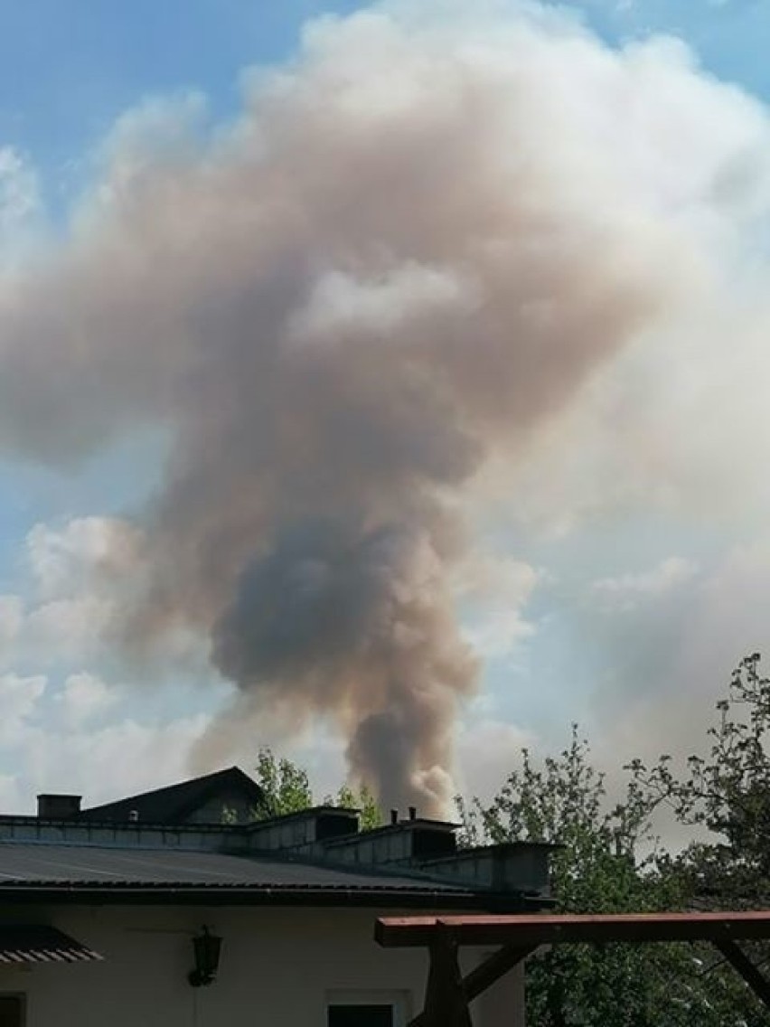 Pożar na wysypisku śmieci przy ulicy Witosa w Radomiu.