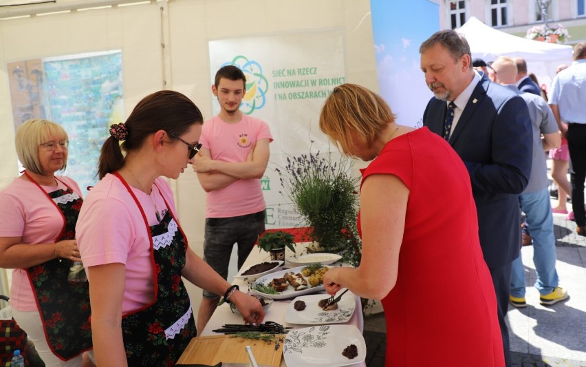 Piknik z Produktem Polskim - Brzeg 18.06.2022r.