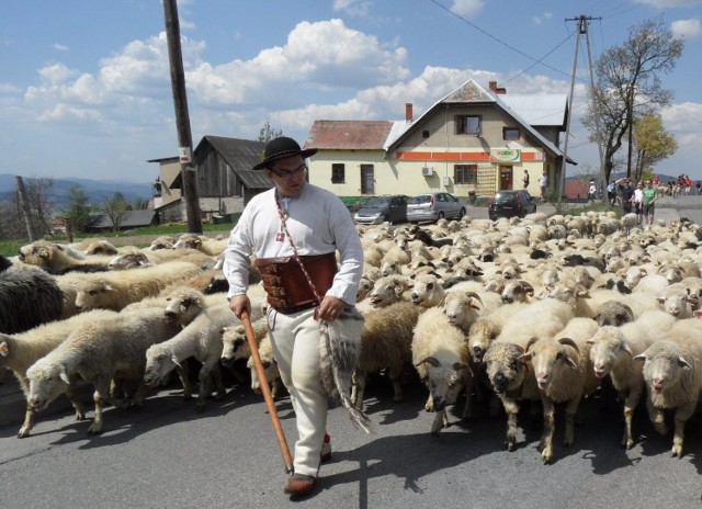 Latem Piotra Kohuta czeka 1300-kilometrowa wędrówka przez Karpaty