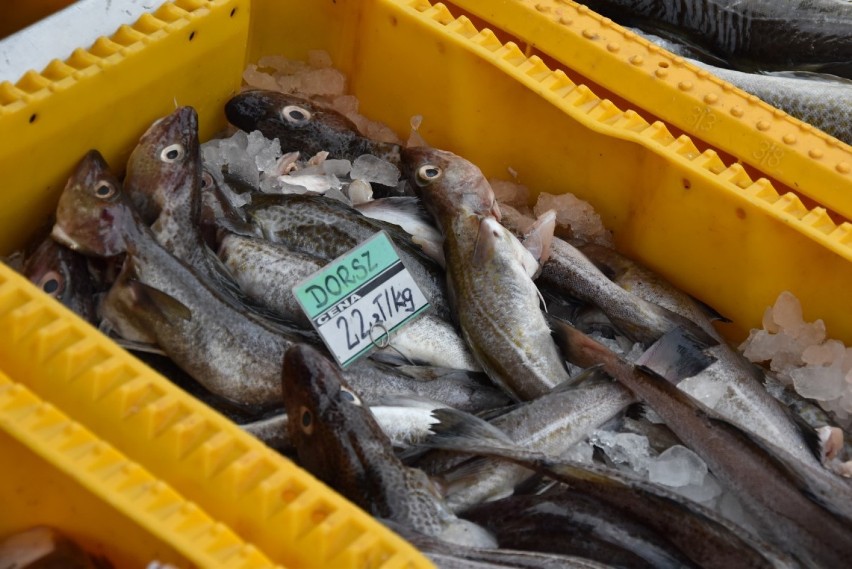 W Darłowie - m.in. - był protest ostrzegawczy rybaków...
