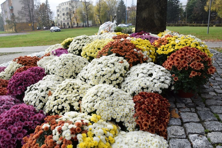 Skierniewice wsparły handlujących kwiatami. Skorzystały na tym miejskie pomniki [ZDJĘCIA]