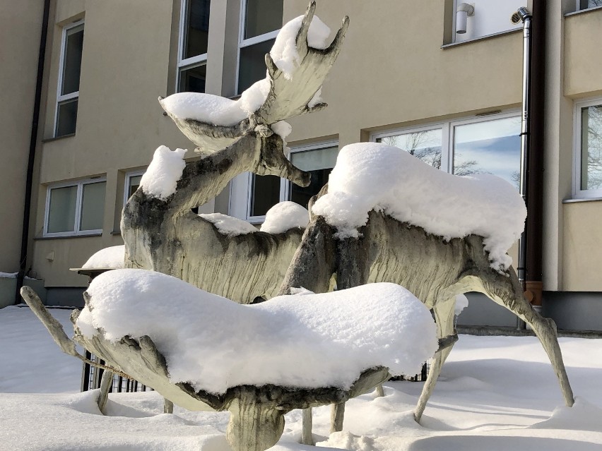 Zima w Iwoniczu-Zdroju tworzy malownicze pejzaże. Zapraszamy na spacer po zaśnieżonym uzdrowisku [ZDJĘCIA]