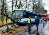 Kierowca autobusu zasłabł i wjechał w drzewo w Sopocie. Są utrudnienia na ul. Powstańców Warszawy