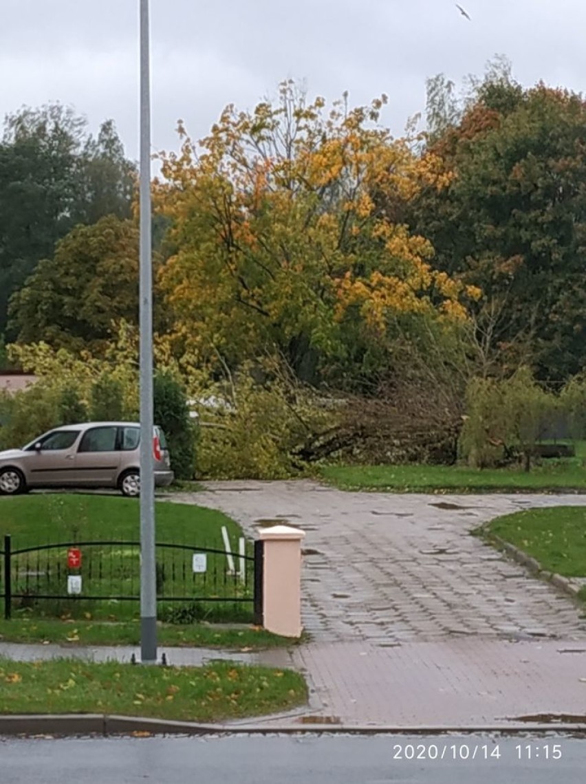 Silnie wieje w powiecie szczecineckim. Dziesiątki interwencji strażaków 