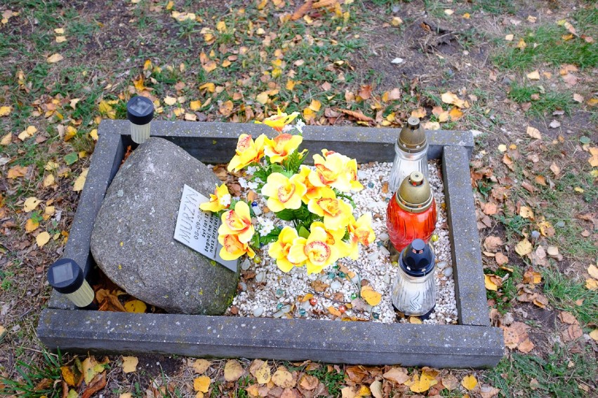 Grzebowisko, czyli cmentarz dla zwierząt "Tęczowy Las" w...