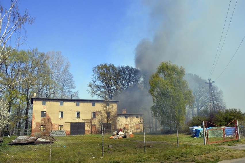 Głogów: Wielki pożar na Biechowie. Strażacy z całego powiatu walczą z ogniem. ZDJĘCIA I FILM Z AKCJI